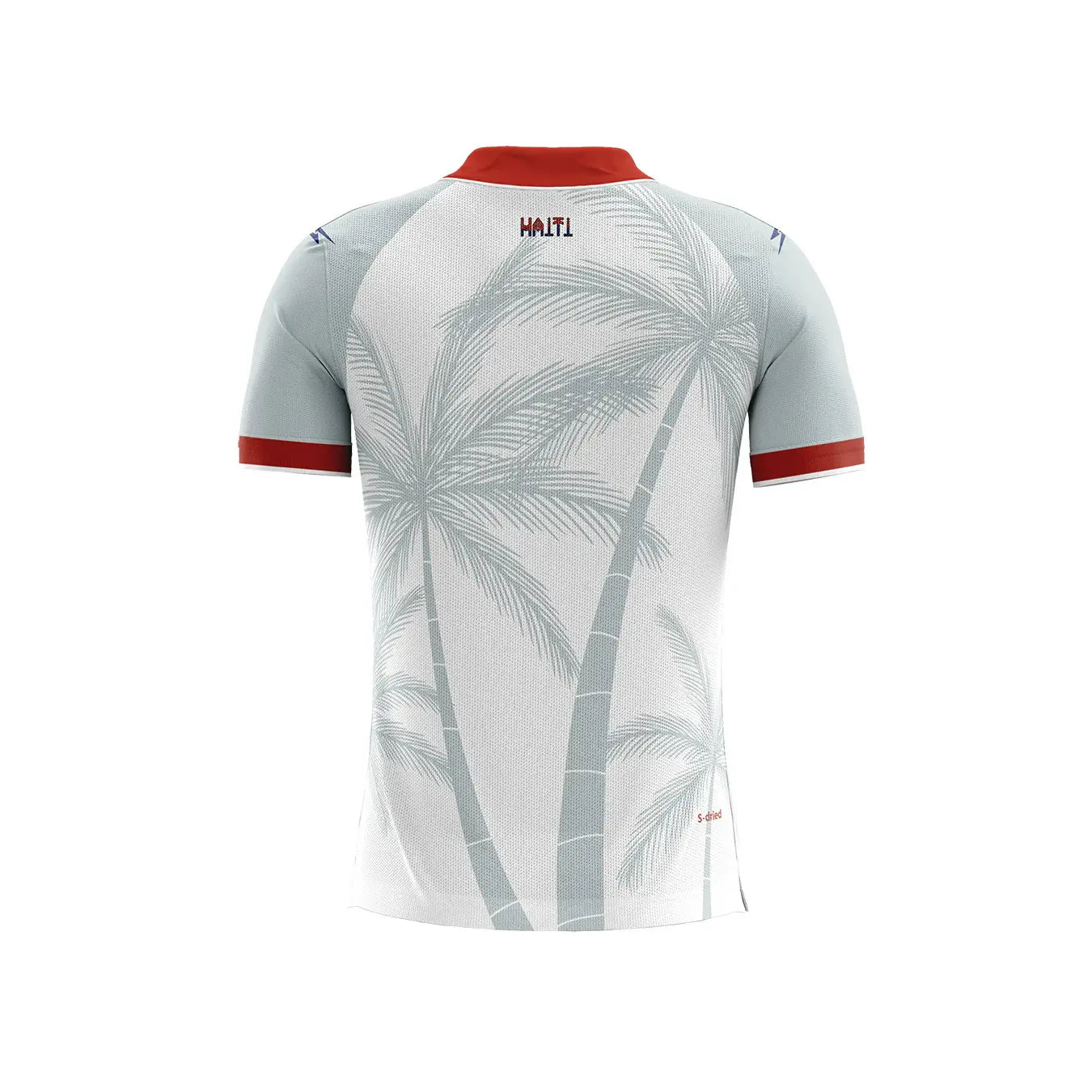 Maillot Extérieur Haïti Coupe du Monde 2026