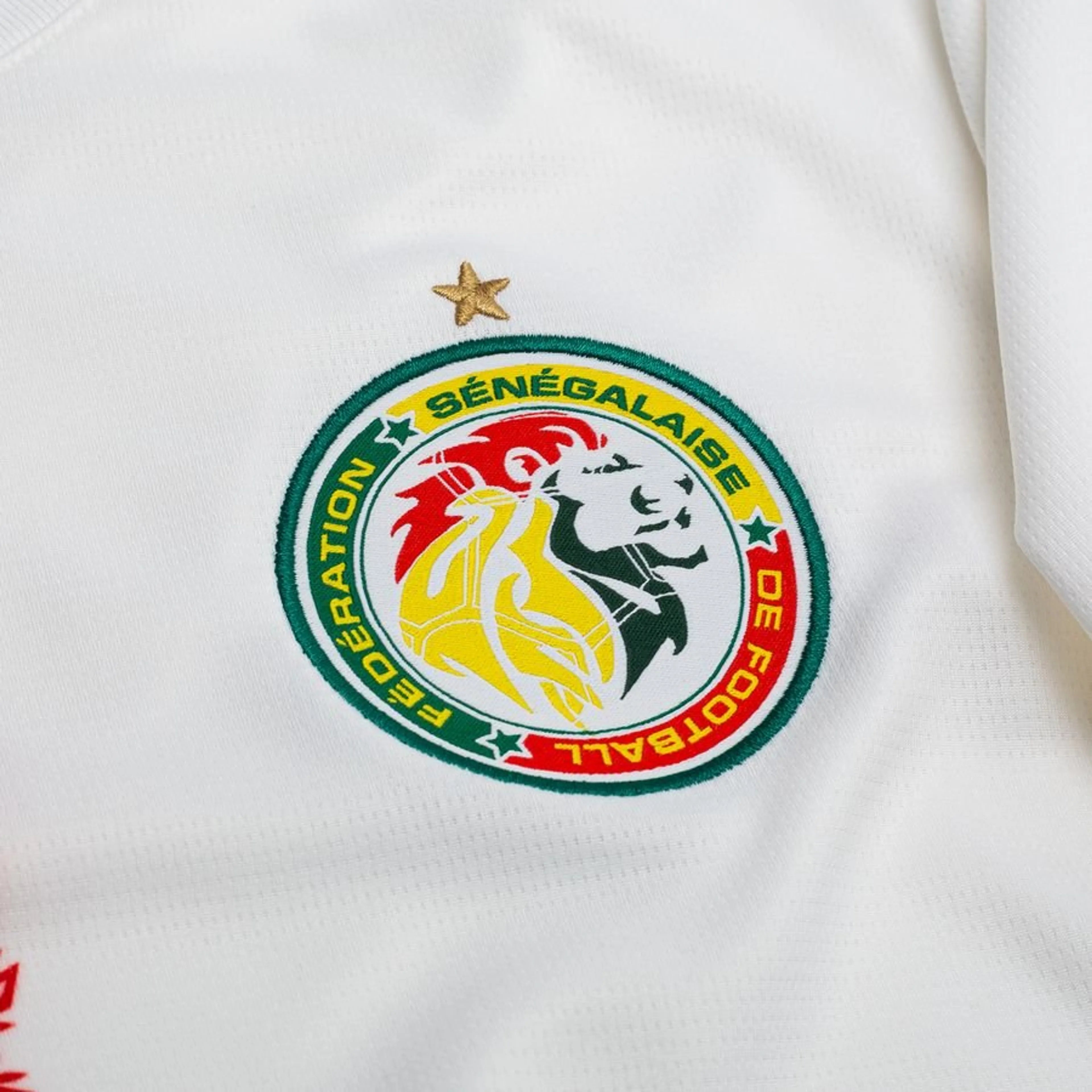 Kamerun Heim 2026
