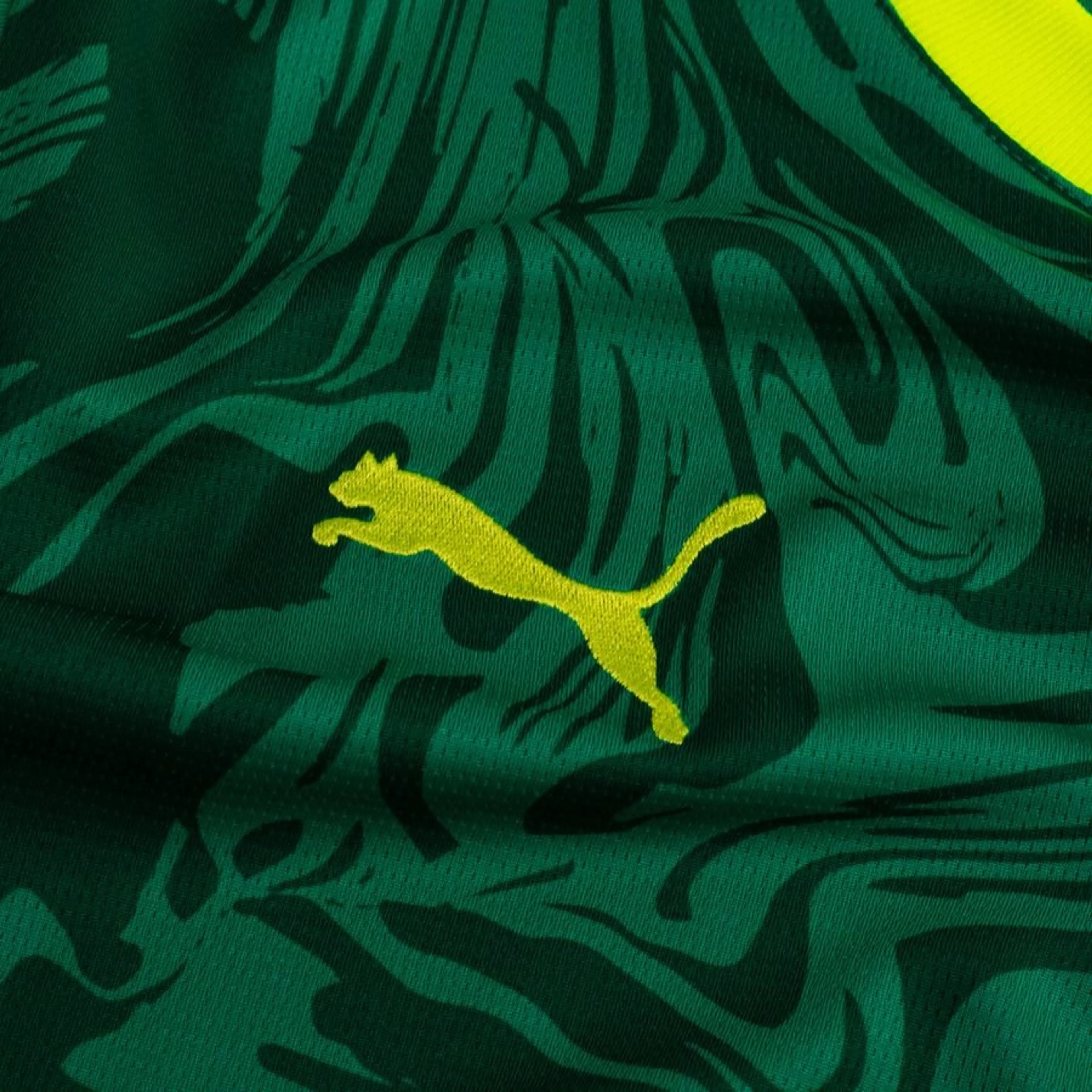 Senegal Heim 2026